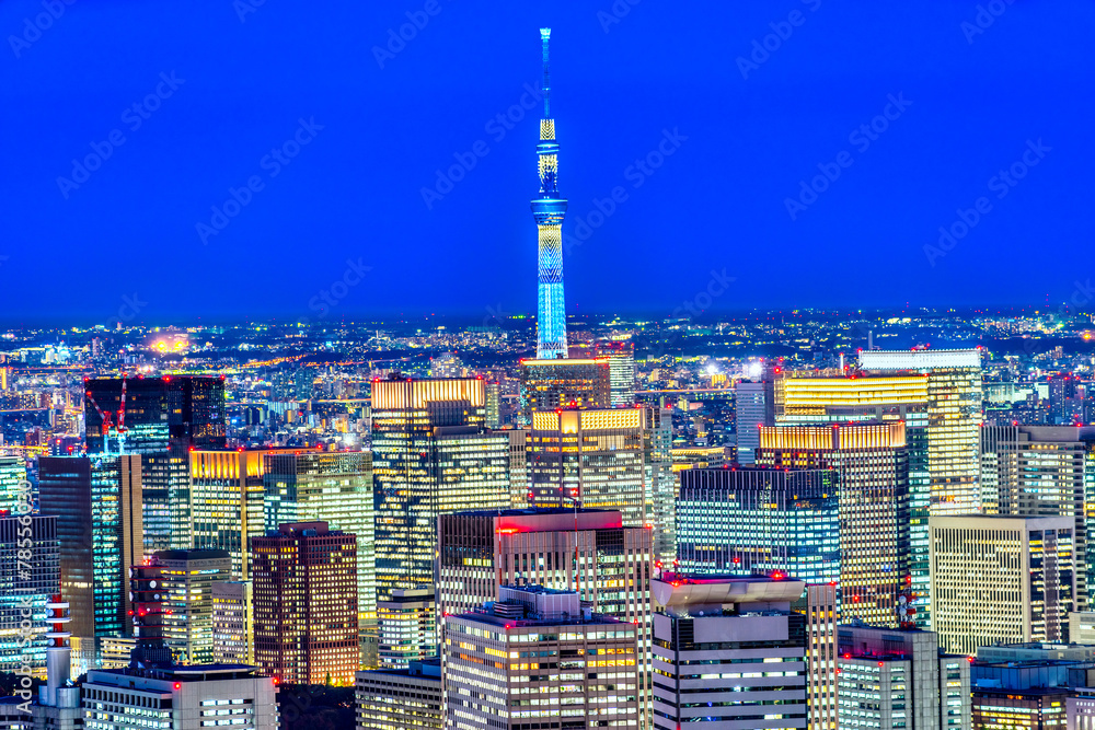 Fototapeta premium Tokyo skyline, Japan.