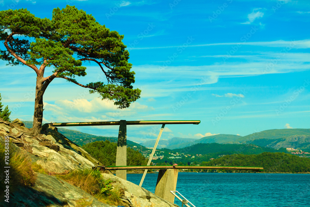 View of diving board. Springboard to dive at water. View of diving board. Springboard to dive at water.