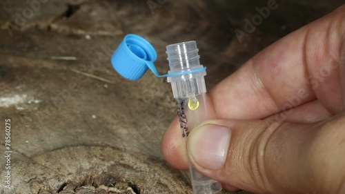 Snake venom in a vial