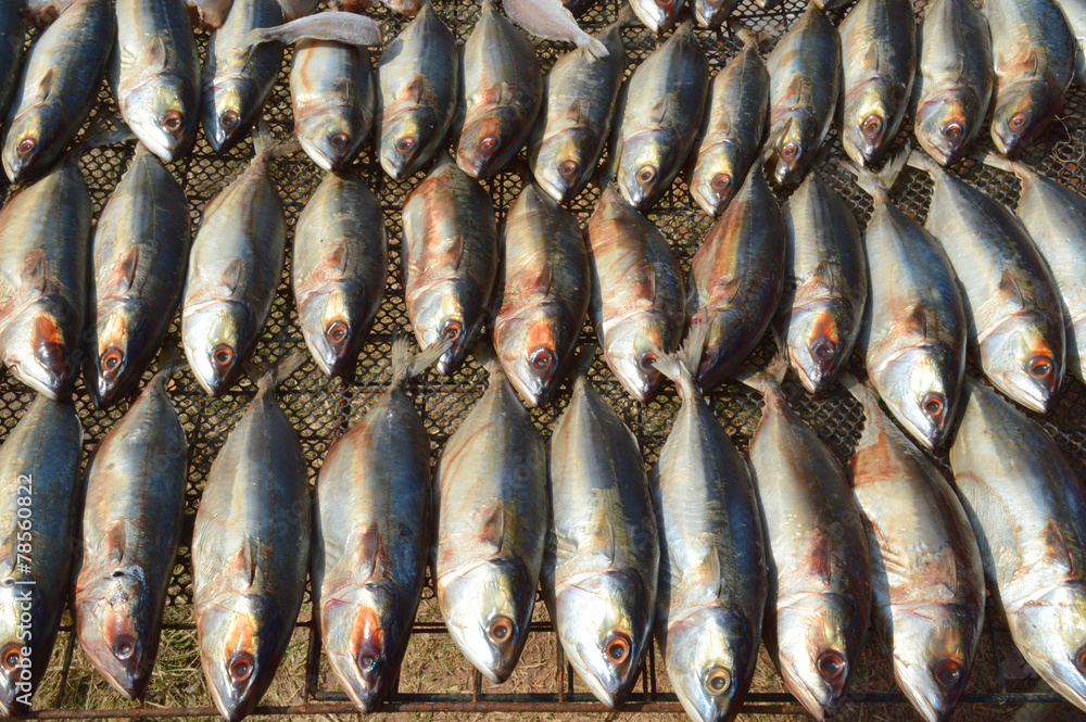Obraz premium dried fishes