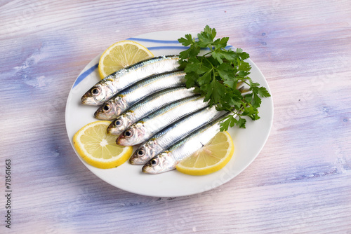 sarde - sardines - сардины - sardinas photo