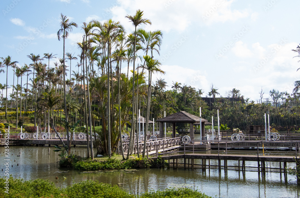 Fototapeta premium アジアンガーデン