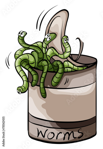 A can of worms