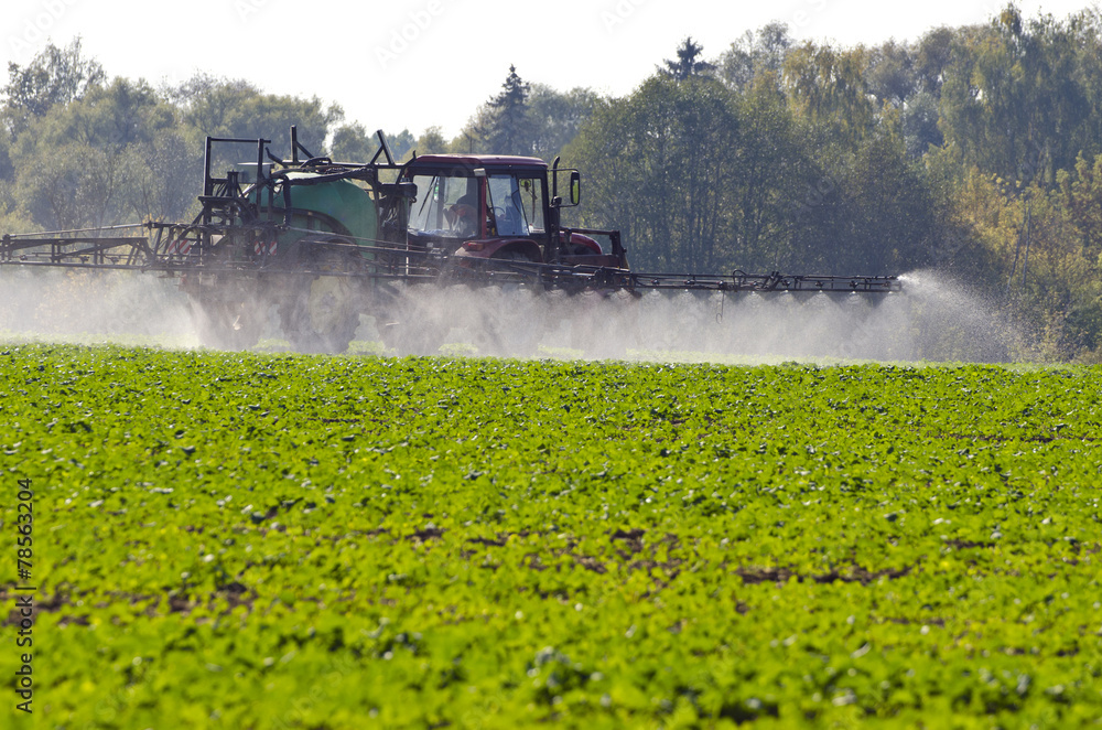 Fototapeta premium Tractor spray fertilize with insecticide herbicide in field