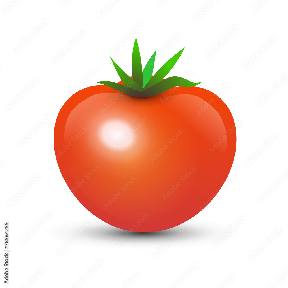 Tomato on white background Tomato on white background