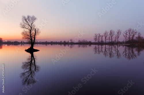 Lake with tree at sunrise, Slovakia