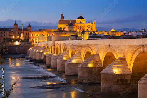 Roman bridge   in evening. Cordoba  Spain