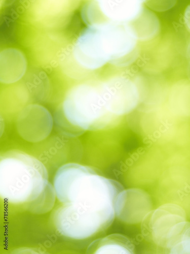 blur green background from tree in sun light