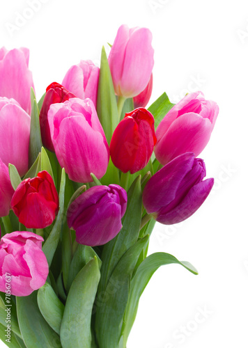 bouquet of red and purple tulip flowers