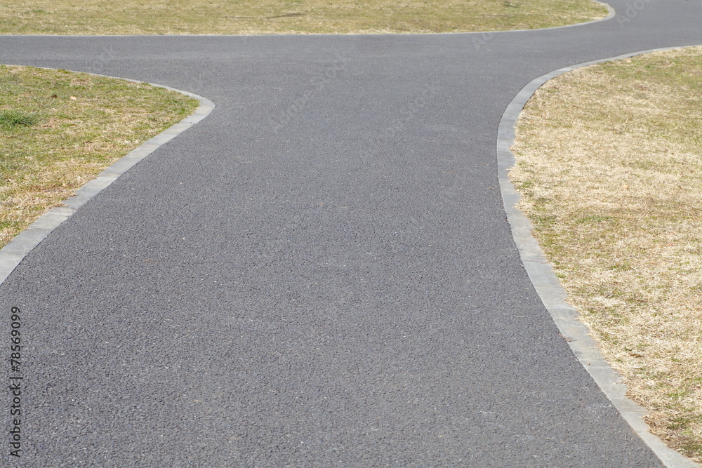 Obraz premium Long pathway through the public green park