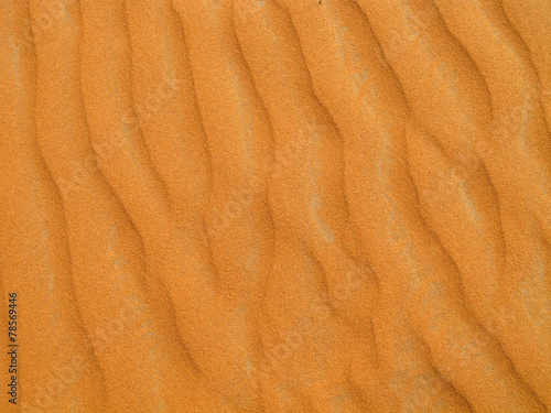 Red sand desert