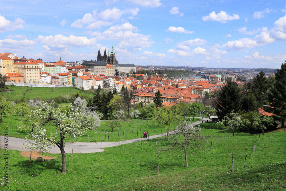 Spring Prague gothic Castle with flowering Trees