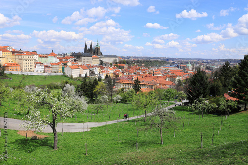 Spring Prague gothic Castle with flowering Trees