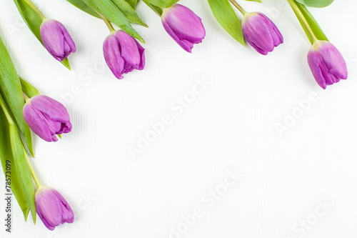 Fototapeta Naklejka Na Ścianę i Meble -  Rahmen Tulpen