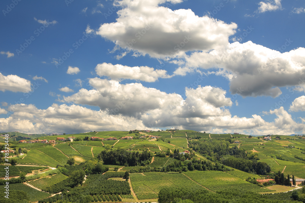 Hills of Piedmont. Northern Italy.