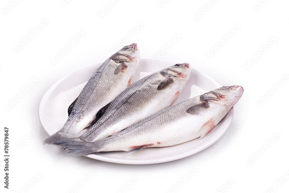 fresh seabass fish fresh seabass fish