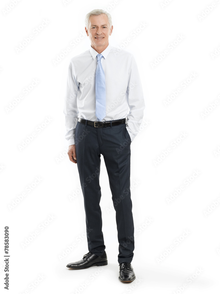 Senior businessman portrait Senior businessman portrait
