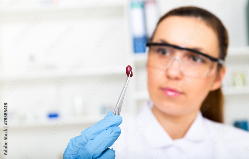 woman laboratory assistant in the laboratory of food quality woman laboratory assistant in the laboratory of food quality