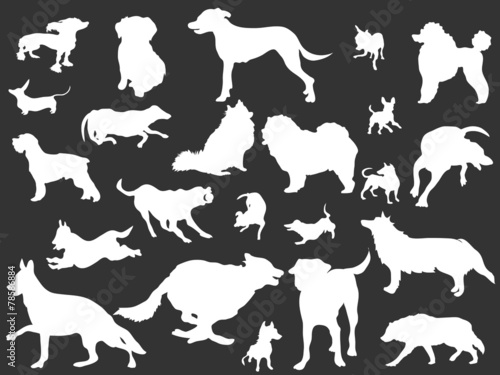 white dogs silhouettes set