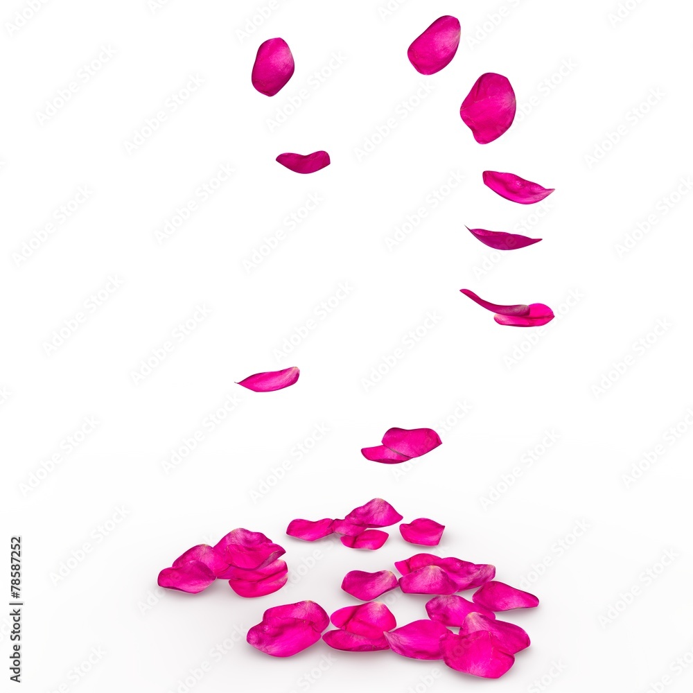 Petals of roses fall on a floor Petals of roses fall on a floor