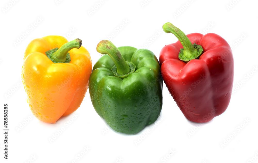 capsicum/bell peppers isolated on white background capsicum/bell peppers isolated on white background