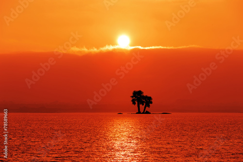 Sonnenuntergang mit Palmen