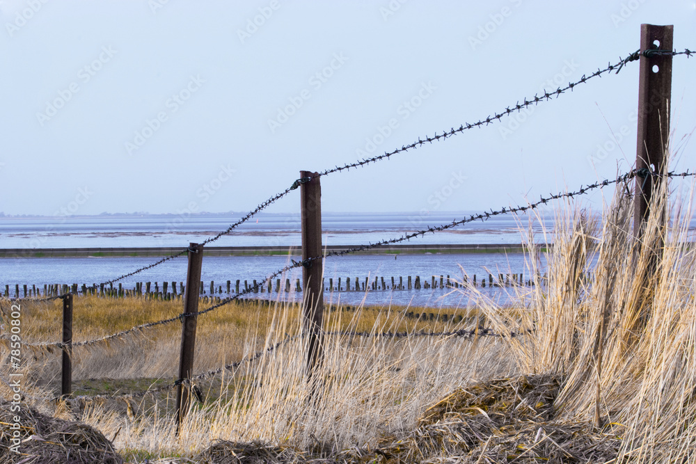 Zaun am Wattenmeer