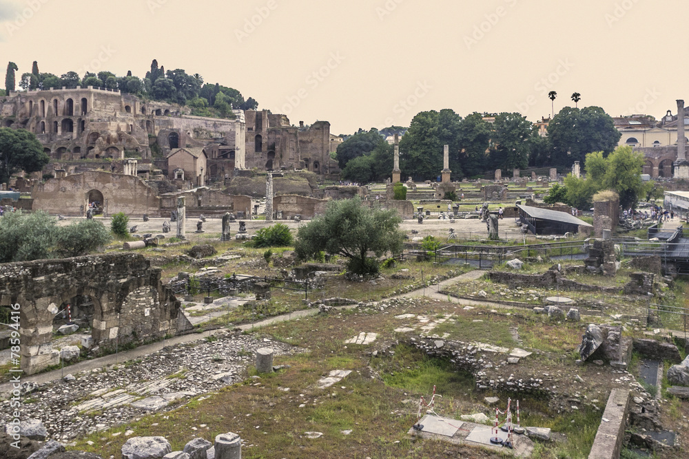 Fototapeta premium city of Rome