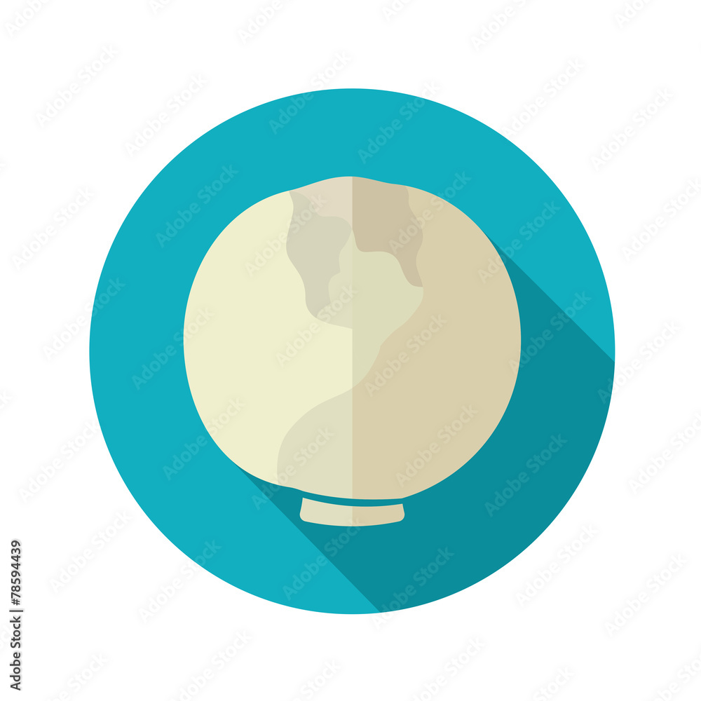 Cabbage flat icon with long shadow Cabbage flat icon with long shadow