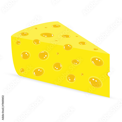 Cheese on a white background