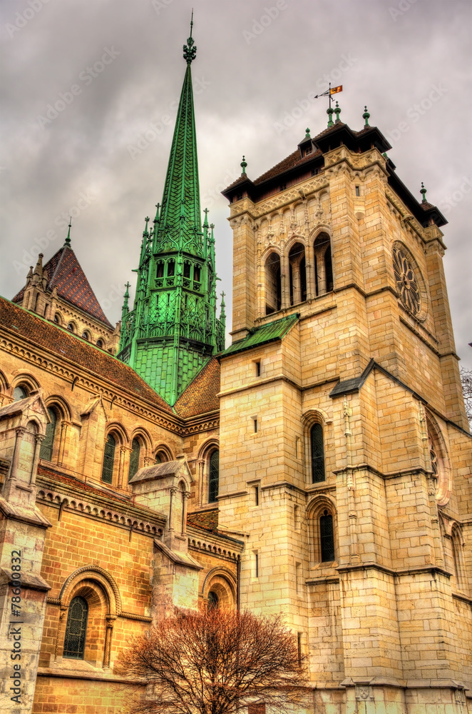 The St. Pierre Cathedral of Geneve in Switzerland