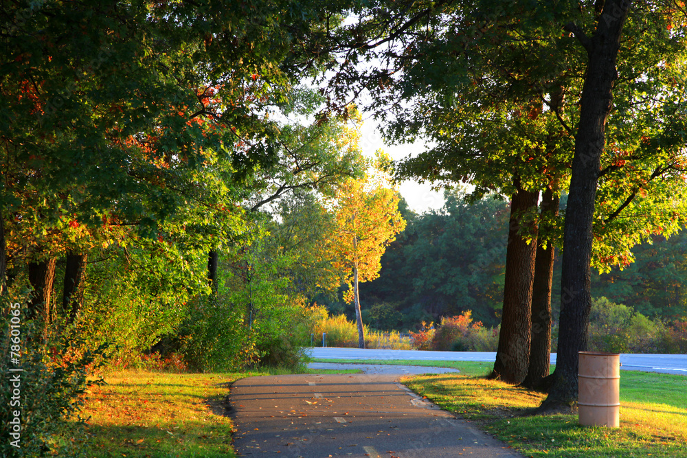 Fototapeta premium Scenic bike trail in early morning sun light