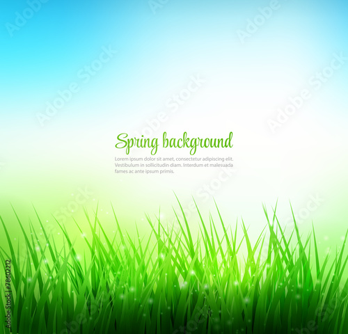 Natural green grass background