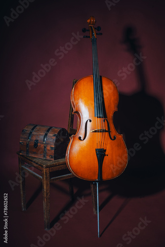violin on the dark background