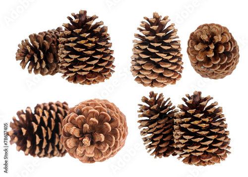 two pine cone