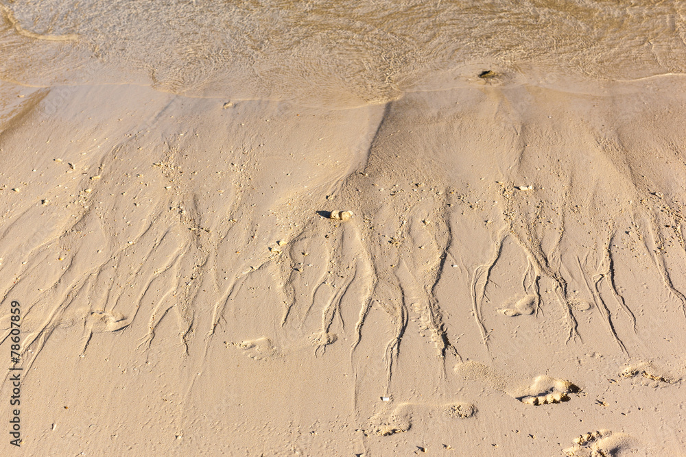 Foto shoreline with silt