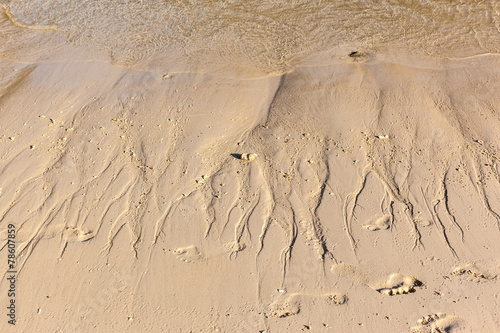 shoreline with silt