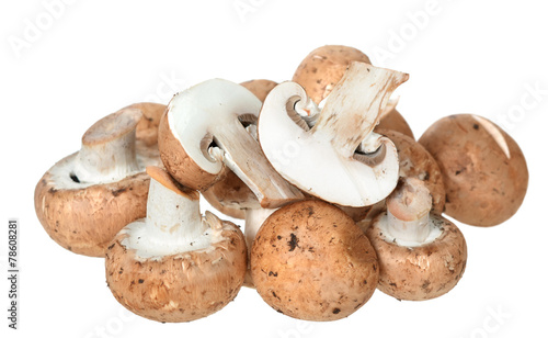 portabella mushroom photo