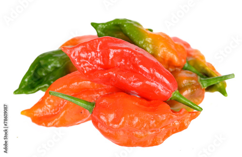 hottest pepper photo