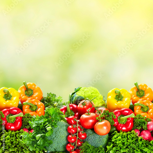 Vegetables over green background.
