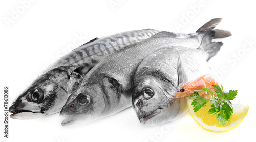 Photography Fresh fish and other seafood isolated on white