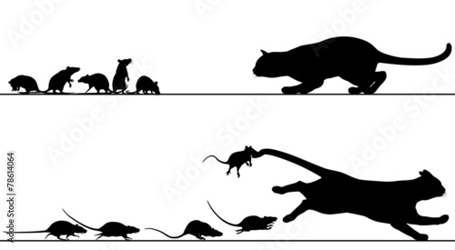 Rats chasing cat