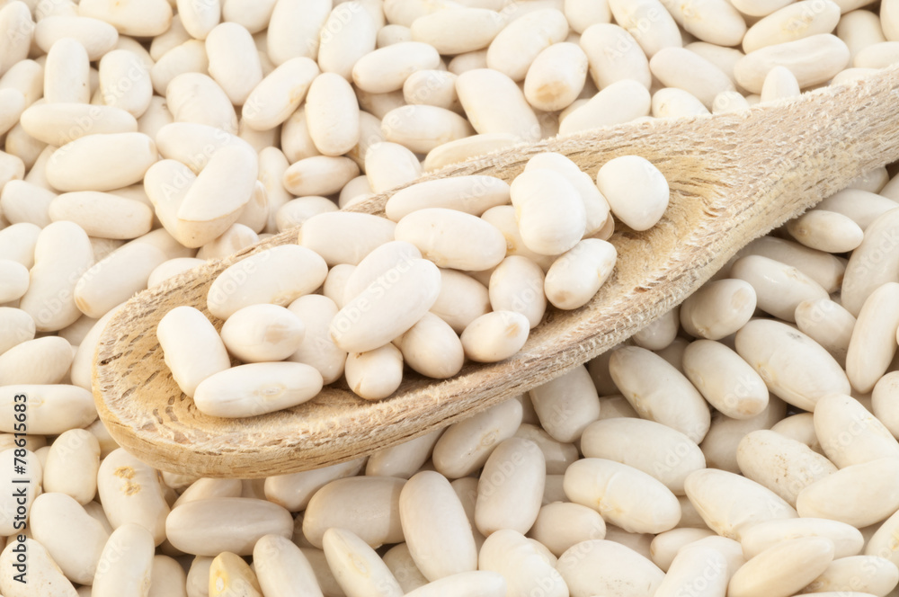 cannellini beans cannellini beans