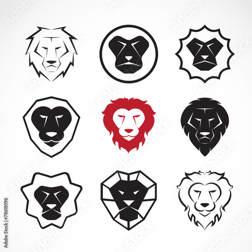 Fototapeta Naklejka Na Ścianę i Meble -  Vector group of an lion head design on white background
