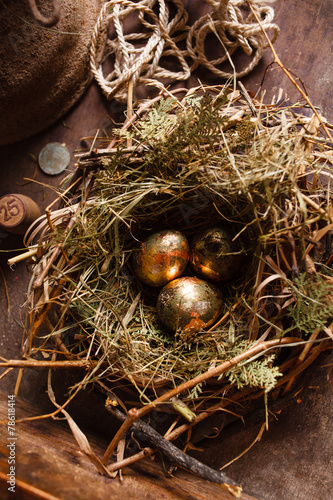 Wallpaper Mural eggs in the nest Torontodigital.ca