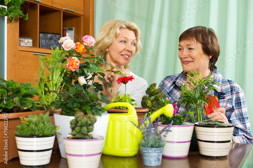 Two mature women taking care of decorative plants