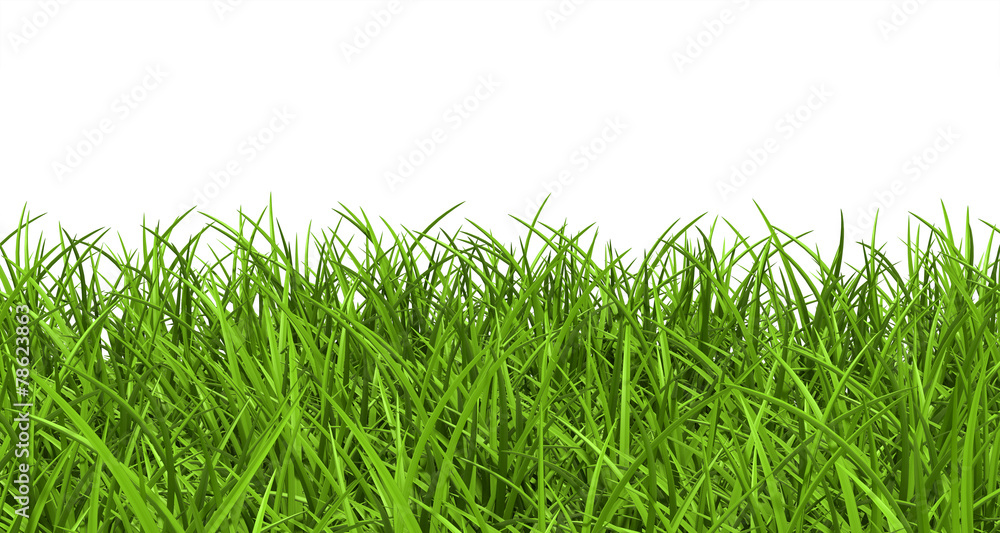 Fototapeta premium Gras, Rasen, Wiese, Ostergras, Hintergrund, Panorama, Banner, 3D