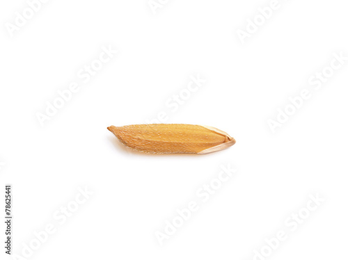 rice grains isolated on white