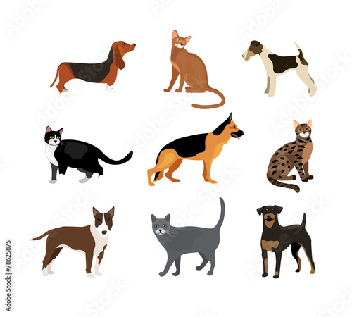 Cats and dogs vector illustration