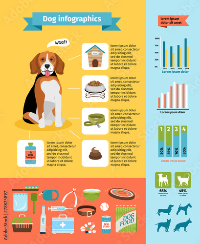 Dog infographics